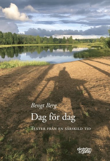 bokomslag Dag för dag : texter från en särskild tid