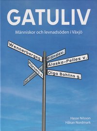 bokomslag Gatuliv : människor och levnadsöden i Växjö