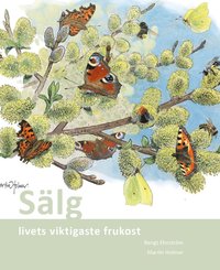 bokomslag Sälg : livets viktigaste frukost