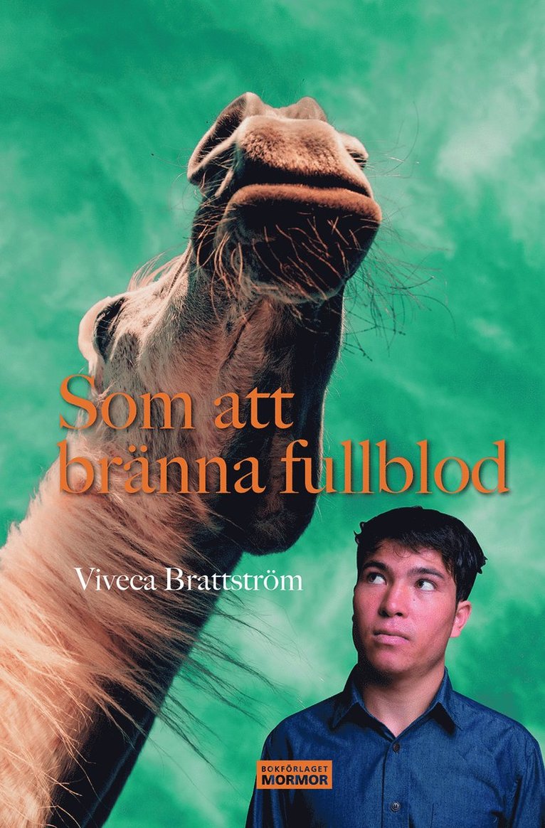 Viveca Brattström - Som att bränna fullblod, Inbunden