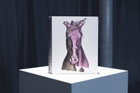 bokomslag Tove Kjellmark - The Horse, the Robot & the Immeasurable