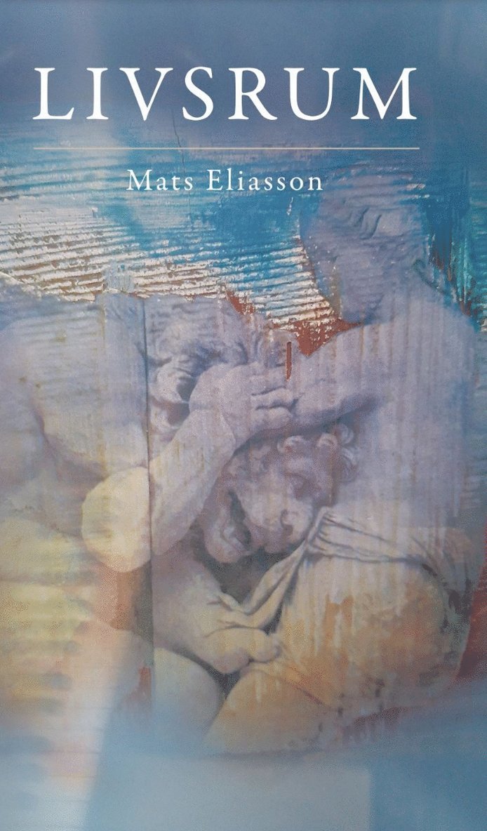 Mats Eliasson - Livsrum, Pocket