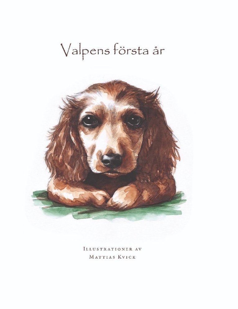 Valpens första år 1