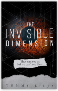 bokomslag The invisible dimension