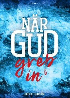 När Gud grep in 1