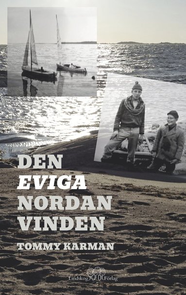 bokomslag Den eviga nordanvinden