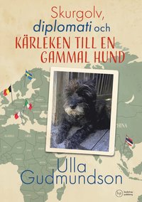 bokomslag Skurgolv, diplomati och kärleken till en gammal hund