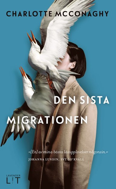 bokomslag Den sista migrationen