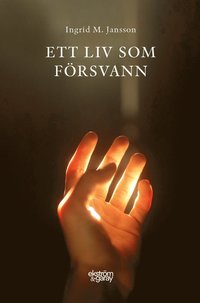 bokomslag Ett liv som försvann