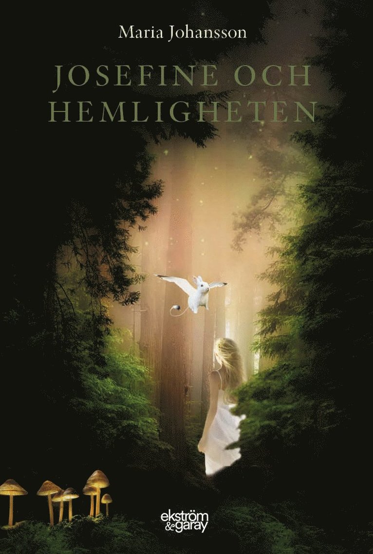 Maria Johansson - Josefine och hemligheten, Inbunden