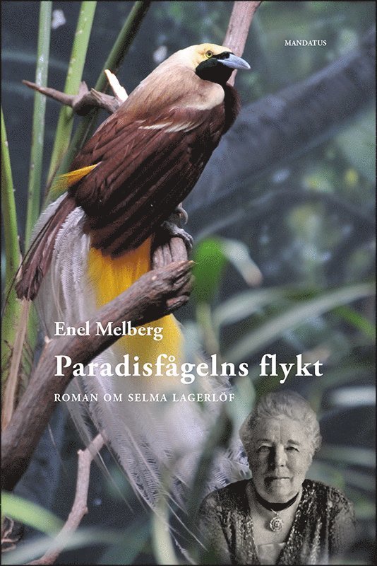 Paradisfågelns flykt : Roman om Selma Lagerlöf 1