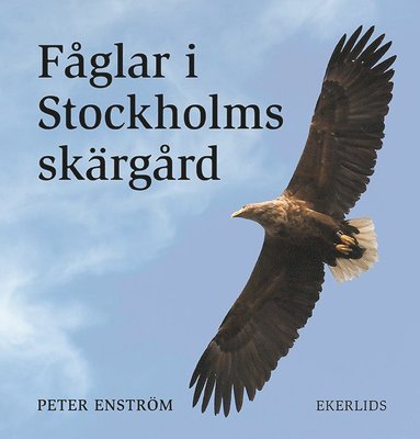 bokomslag Fåglar i Stockholms skärgård