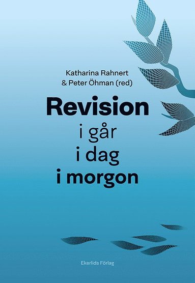 bokomslag Revision i går, i dag, i morgon