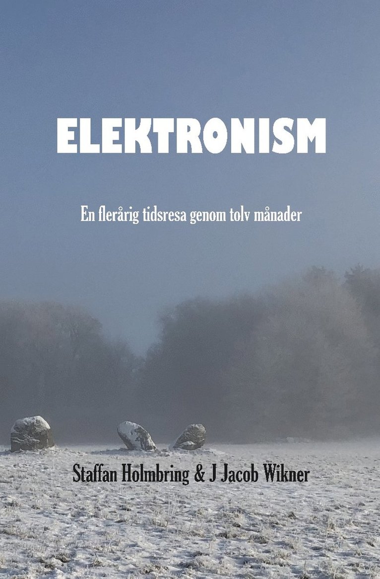 Staffan Holmbring, J. Jacob Wikner - Elektronism : en flerårig resa genom tolv månader, Inbunden