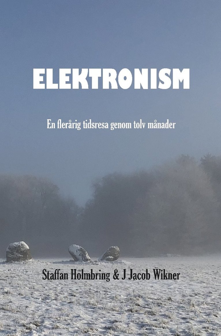 Elektronism : en flerårig resa genom tolv månader 1