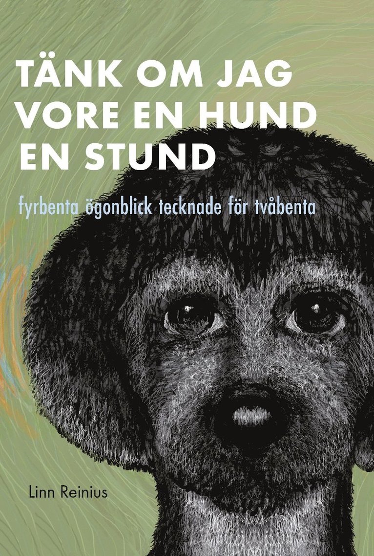 Linn Reinius - Tänk om jag vore en hund en stund : fyrbenta ögonblick tecknade för tvåbenta, Inbunden