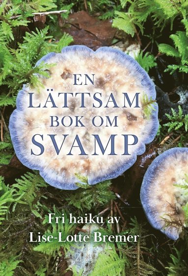 bokomslag En lättsam bok om Svamp