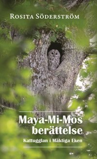 bokomslag Maya-Mi-Mos berättelse : kattugglan i Mäktiga Eken