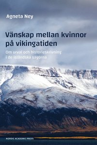 bokomslag Vänskap mellan kvinnor på vikingatiden : om urval och historieskrivning i de isländska sagorna