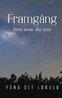 bokomslag Framgång : inte som du tror