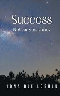 bokomslag Success: Not as you think