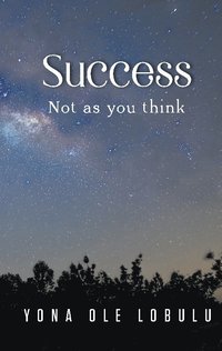 bokomslag Success : not as you think