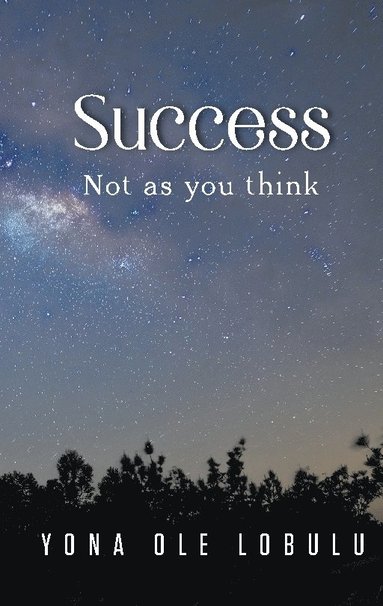 bokomslag Success : not as you think