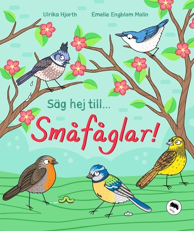 bokomslag Säg hej till... småfåglar!