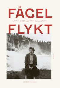 bokomslag Fågelflykt