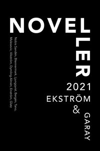 bokomslag Noveller 2021