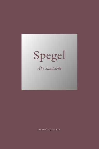 bokomslag Spegel