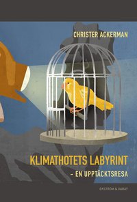 bokomslag Klimathotets labyrint : en upptäcktsresa
