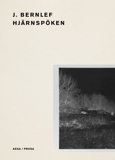 J. Bernlef - Hjärnspöken, Häftad