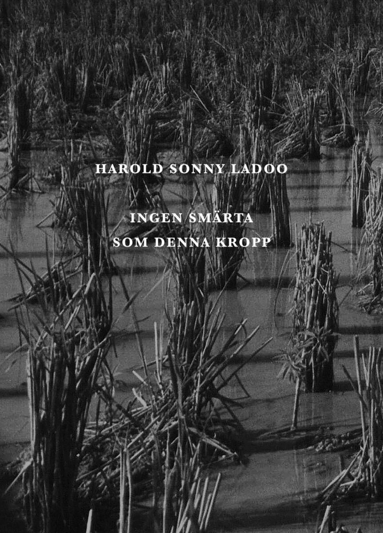 Harold Sonny Ladoo - Ingen smärta som denna kropp, Häftad