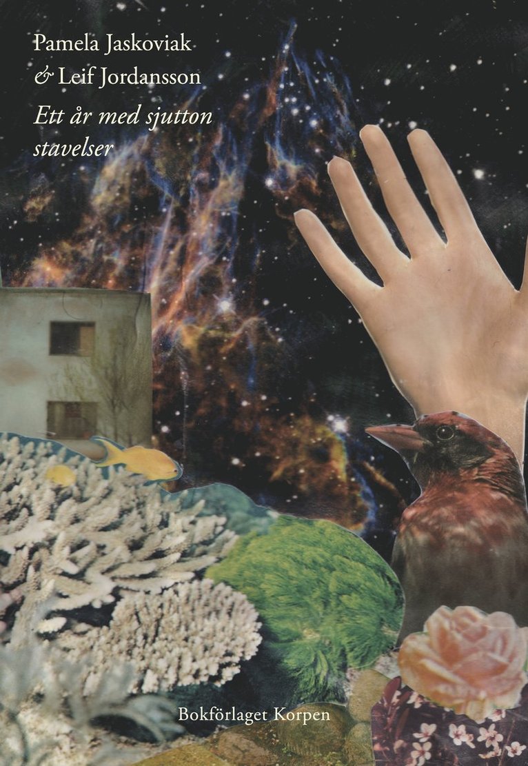 Pamela Jaskoviak, Leif Jordansson - Ett år med sjutton stavelser, Häftad