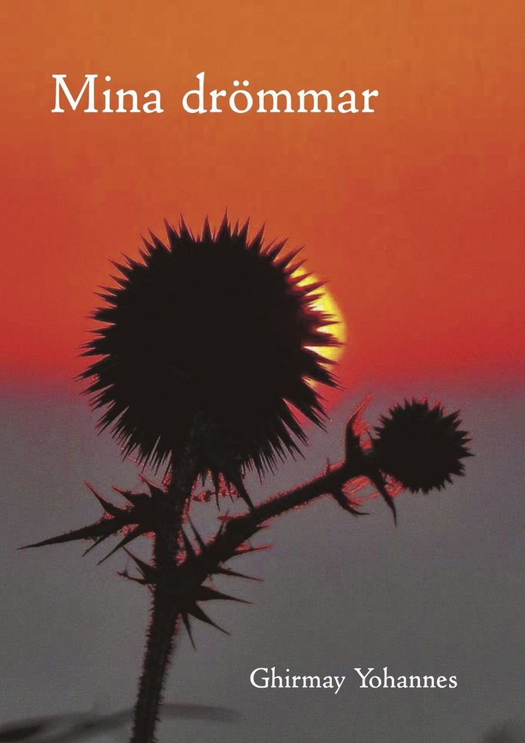 Ghirmay Yohannes - Mina drömmar, Häftad