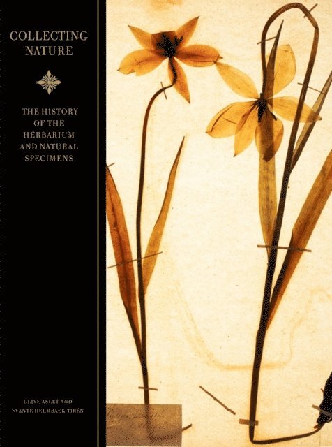 Collecting nature : a history of the herbarium and natural specimens 1