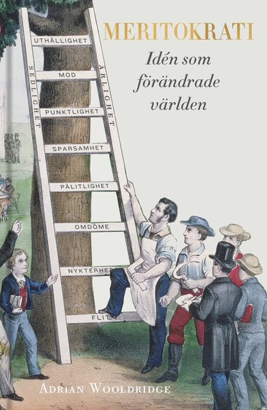 bokomslag Meritokrati : idén som förändrade världen