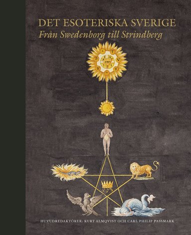Eva Haettner Aurelius, Henrik Bogdan, David Dunér, Per Faxneld, Niclas Franzén, Anders Hallengren, Olav Hammer, Karin Ström Lehander, Martin Liljekvist, Elisabeth Mansén, Svante Nordin, Simon Sorgenfrei, Per Stille, Karen Swartz - Det esoteriska Sverige : från Swedenborg till Strindberg, Inbunden
