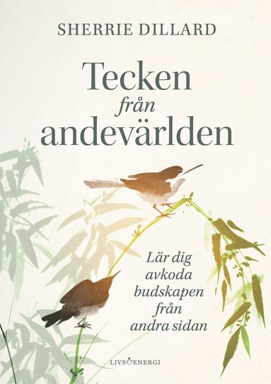 bokomslag Tecken från andevärlden : lär dig avkoda budskapen från andevärlden