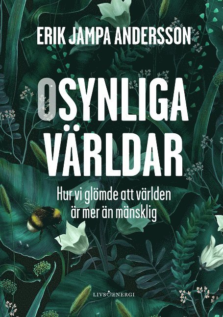 Erik Jampa Andersson - Osynliga världar : hur vi glömde att världen är mer än mänsklig, Inbunden