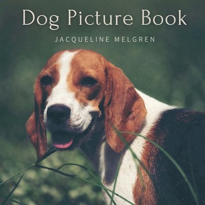 Jacqueline Melgren - Dog Picture Book: For Elderly with Dementia. Alzheimer's activities for Women and Men., Häftad
