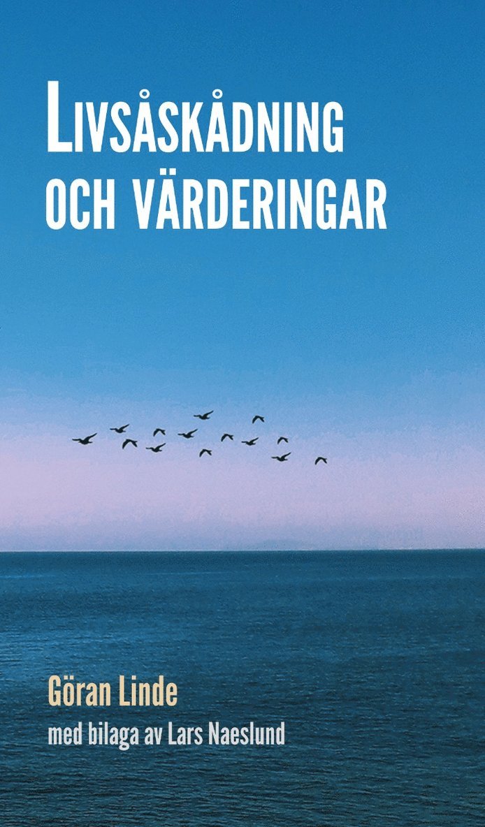 Livsåskådning och värderingar 1