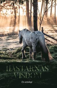 bokomslag Hästarnas visdom : en antologi