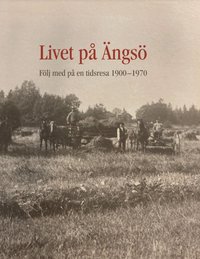 bokomslag Livet på Ängsö : följ med på en tidsresa 1900-1970