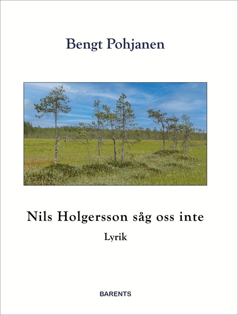 Bengt Pohjanen - Nils Holgersson såg oss inte, Häftad. Tillgänglighet: Lägg i varukorg