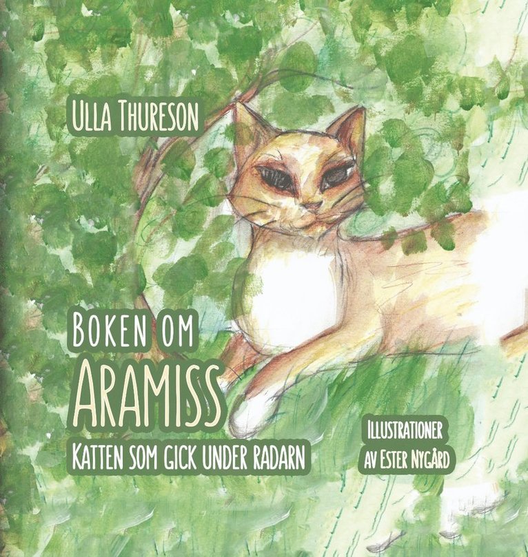 Boken om Aramiss : katten som gick under radarn 1