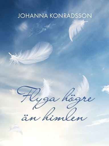 bokomslag Flyga högre än himlen