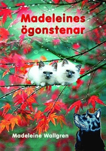 Madeleine Wallgren - Guds och Madeleines ögonstenar, Storpocket