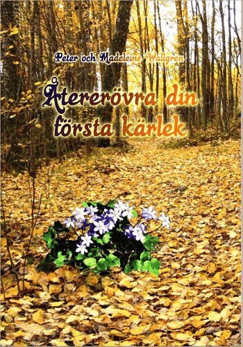 Madeleine Wallgren - Återerövra din första kärlek, Storpocket